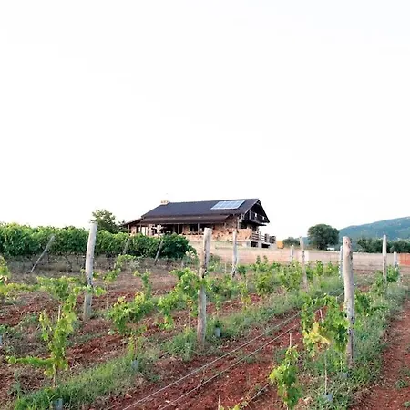 Holiday home Spacious Rustic With Sea View Maroneia (Rhodope)