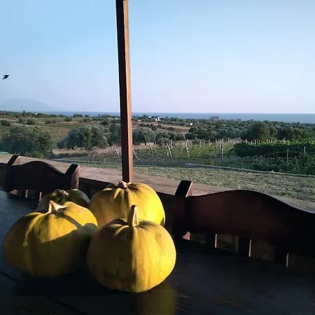 Spacious Rustic With Sea View Maroneia (Rhodope)
