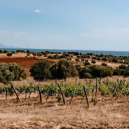 Spacious Rustic With Sea View * Marónia